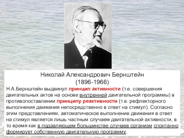 Николай Александрович Бернштейн (1896-1966) Н.А.Бернштейн выдвинул принцип активности (т.е. совершения