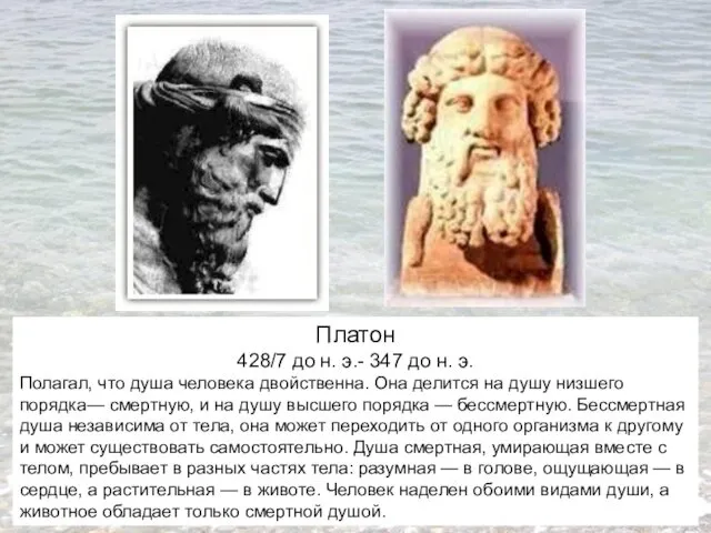 Платон 428/7 до н. э.- 347 до н. э. Полагал,
