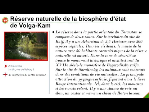 Réserve naturelle de la biosphère d'état de Volga-Kam La réserve