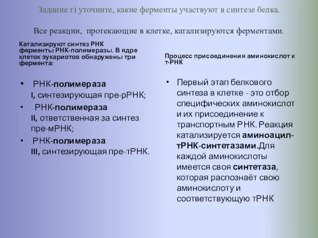 Задание г) уточните, какие ферменты участвуют в синтезе белка. Все