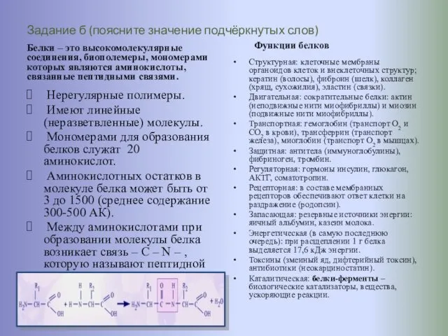 Задание б (поясните значение подчёркнутых слов) Белки – это высокомолекулярные соединения, биополемеры, мономерами