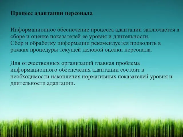 Процесс адаптации персонала Информационное обеспечение процесса адаптации заключается в сборе