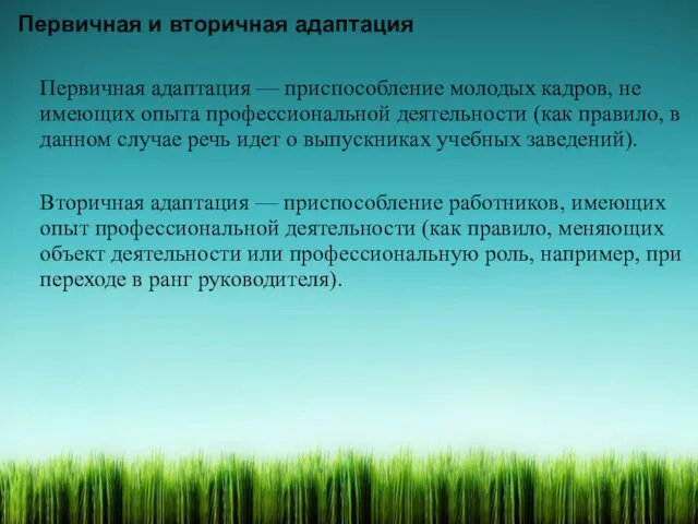 Первичная и вторичная адаптация Первичная адаптация — приспособление молодых кадров,