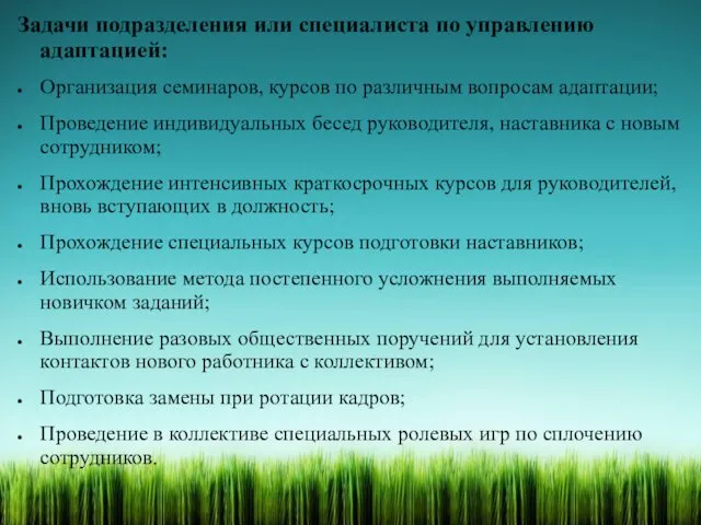 Задачи подразделения или специалиста по управлению адаптацией: Организация семинаров, курсов