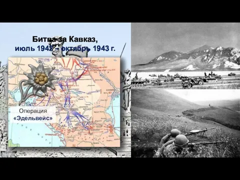 Битва за Кавказ, июль 1942 – октябрь 1943 г. Операция «Эдельвейс»
