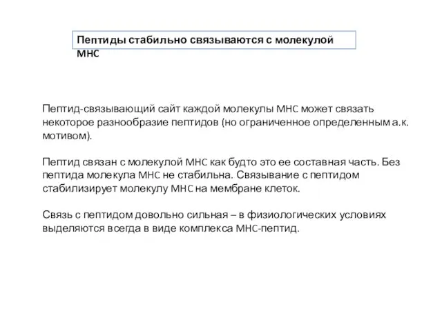 Пептид-связывающий сайт каждой молекулы MHC может связать некоторое разнообразие пептидов