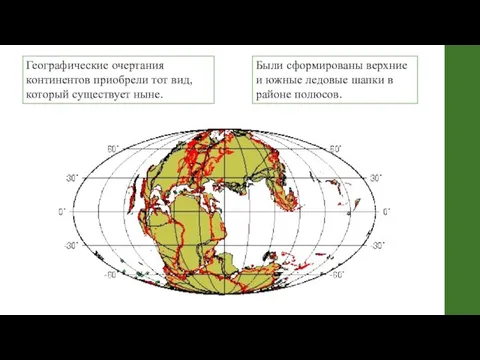 Географические очертания континентов приобрели тот вид, который существует ныне. Были