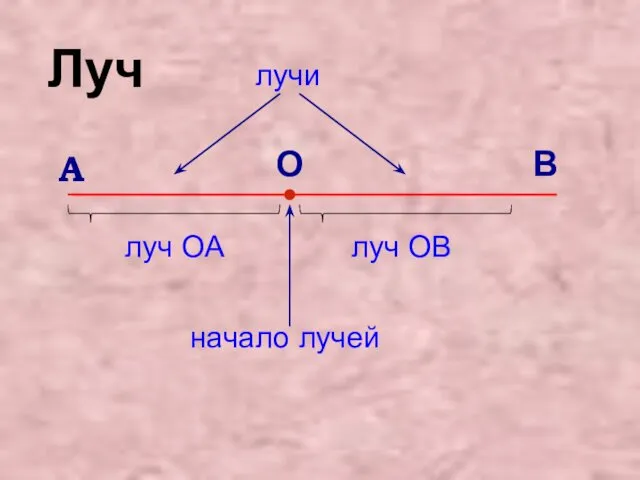 В О А начало лучей луч ОА луч ОВ лучи Луч