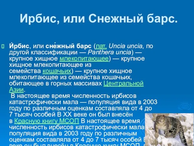 Ирбис, или Снежный барс. И́рбис, или сне́жный барс (лат. Uncia