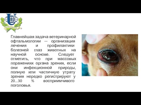 Главнейшая задача ветеринарной офтальмологии — организация лечения и профилактики болезней глаз животных на