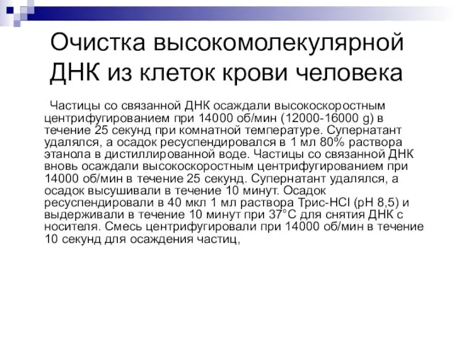 Очистка высокомолекулярной ДНК из клеток крови человека Частицы со связанной