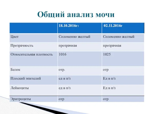 Общий анализ мочи