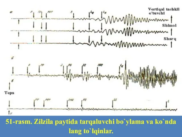 51-rasm. Zilzila paytida tarqaluvchi bo`ylama va ko`nda­lang to`lqinlar.