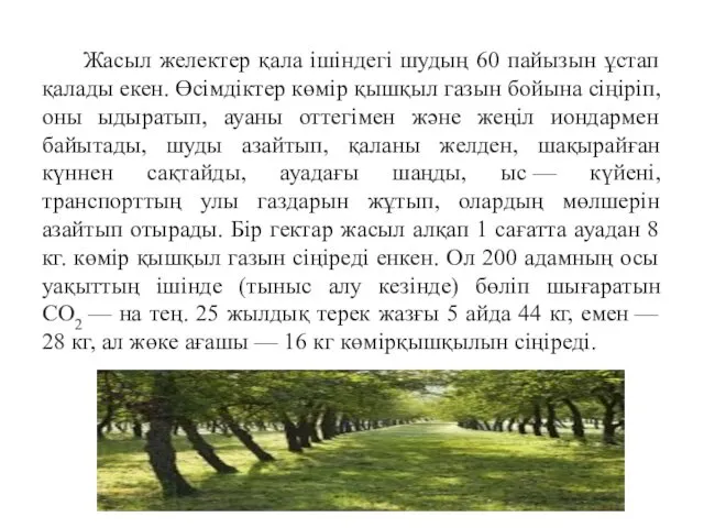 Жасыл желектер қала ішіндегі шудың 60 пайызын ұстап қалады екен.