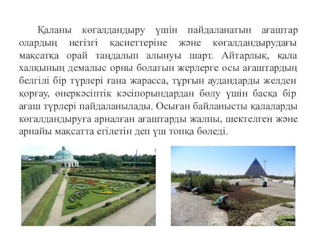 Қаланы көгалдандыру үшін пайдаланатын ағаштар олардың негізгі қасиеттеріне және көгалдандырудағы