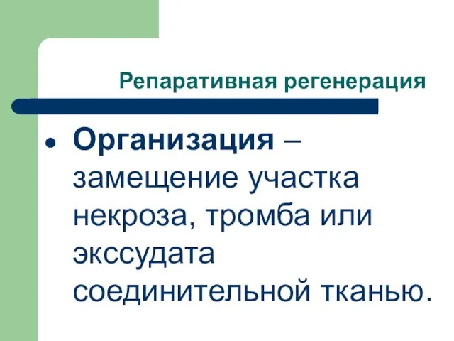 Репаративная регенерация Организация – замещение участка некроза, тромба или экссудата соединительной тканью.