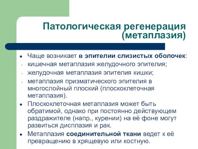 Патологическая регенерация (метаплазия) Чаще возникает в эпителии слизистых оболочек: кишечная