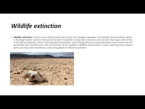 Wildlife extinction Wildlife extinction is no less acute. Many species
