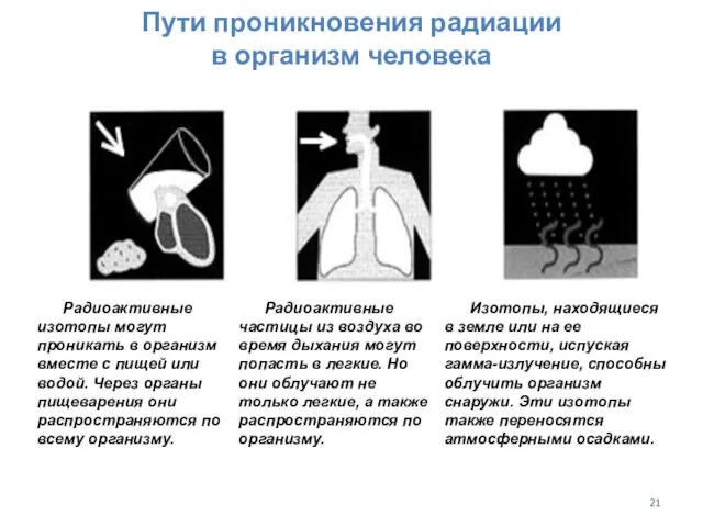 Пути проникновения радиации в организм человека