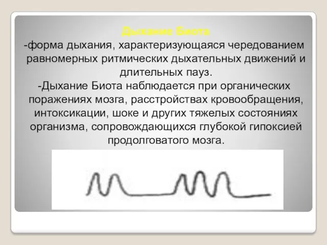 Дыхание Биота форма дыхания, характеризующаяся чередованием равномерных ритмических дыхательных движений