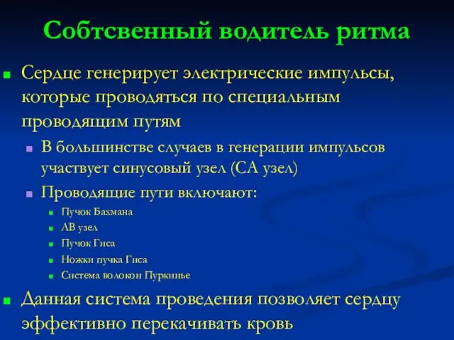 Собтсвенный водитель ритма Сердце генерирует электрические импульсы, которые проводяться по