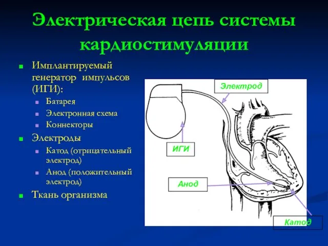 Электрическая цепь системы кардиостимуляции Имплантируемый генератор импульсов (ИГИ): Батарея Электронная