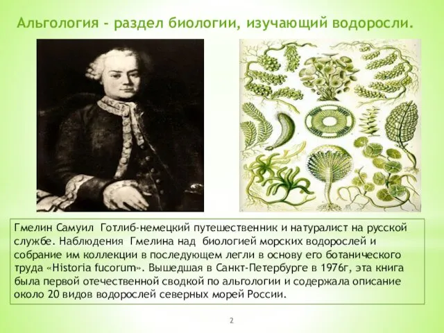 Альгология - раздел биологии, изучающий водоросли. Гмелин Самуил Готлиб-немецкий путешественник