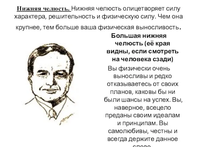 Нижняя челюсть. Нижняя челюсть олицетворяет силу характера, решительность и физическую