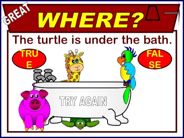 The turtle is under the bath. WHERE? GREAT TRY AGAIN TRUE FALSE