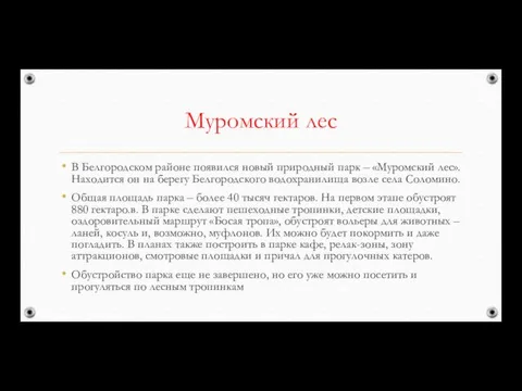 Муромский лес В Белгородском районе появился новый природный парк –