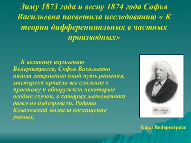 Зиму 1873 года и весну 1874 года Софья Васильевна посветила