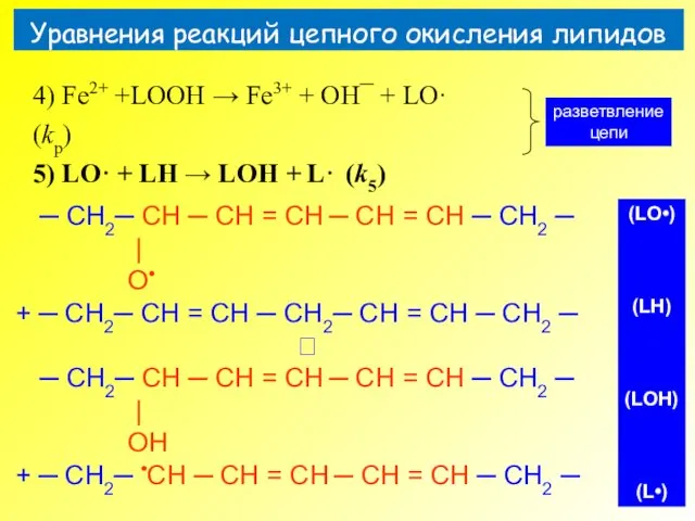 Уравнения реакций цепного окисления липидов