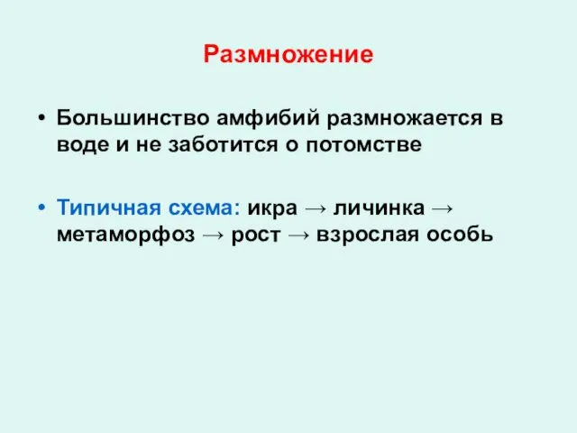 Размножение Большинство амфибий размножается в воде и не заботится о потомстве Типичная схема: