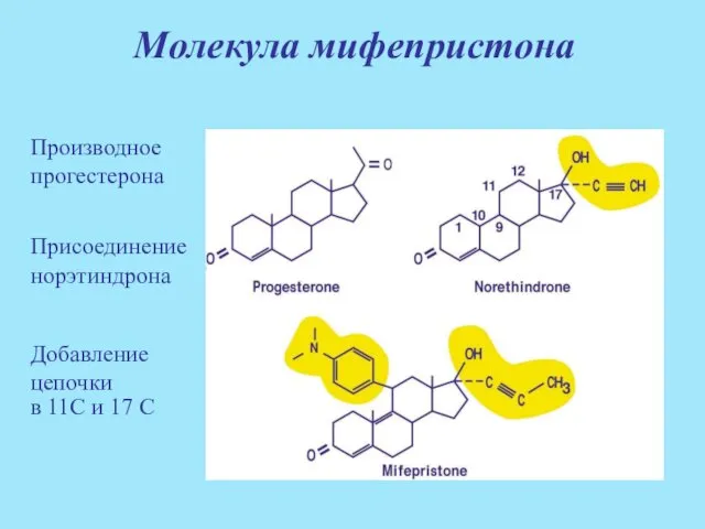 Mолекулa мифепристона Производное прогестерона Присоединение норэтиндрона Добавление цепочки в 11С и 17 С