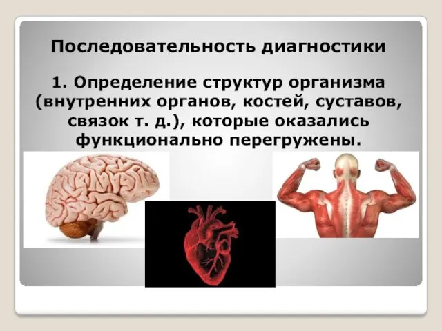 Последовательность диагностики 1. Определение структур организма (внутренних органов, костей, суставов,