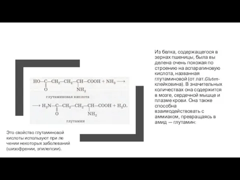 Из белка, содержащегося в зернах пшеницы, была вы­делена очень похожая