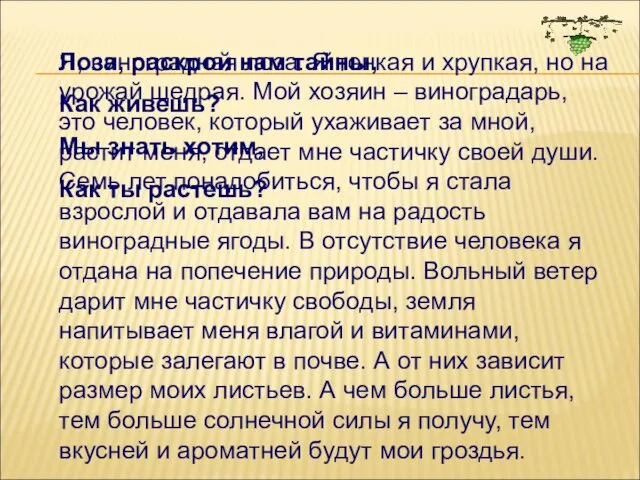 Лоза, раскрой нам тайны, Как живешь? Мы знать хотим, Как ты растешь? Я,