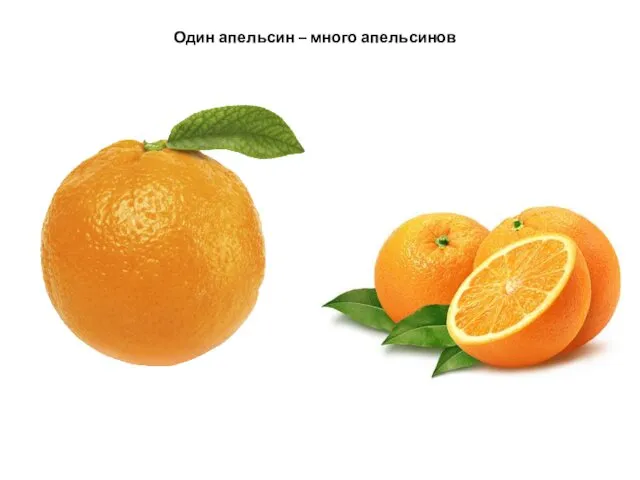 Один апельсин – много апельсинов