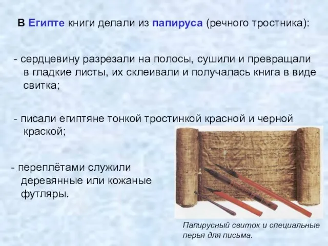 Папирусный свиток и специальные перья для письма. В Египте книги