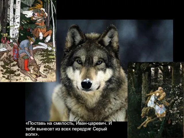 «Поставь на смелость, Иван-царевич. И тебя вынесет из всех передряг Серый волк».
