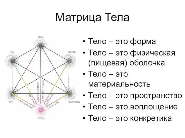 Матрица Тела Тело – это форма Тело – это физическая