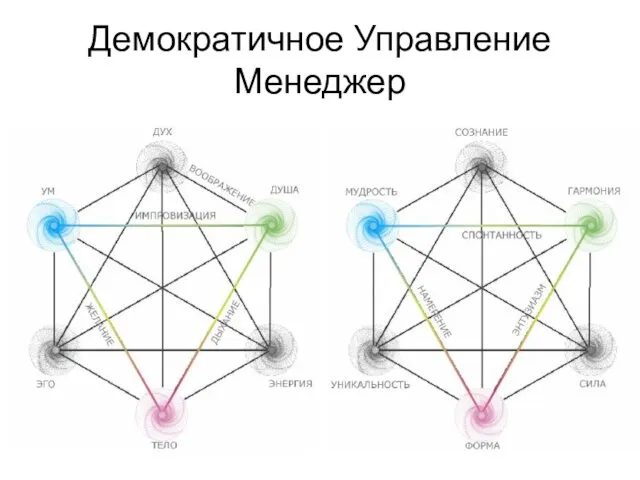 Демократичное Управление Менеджер