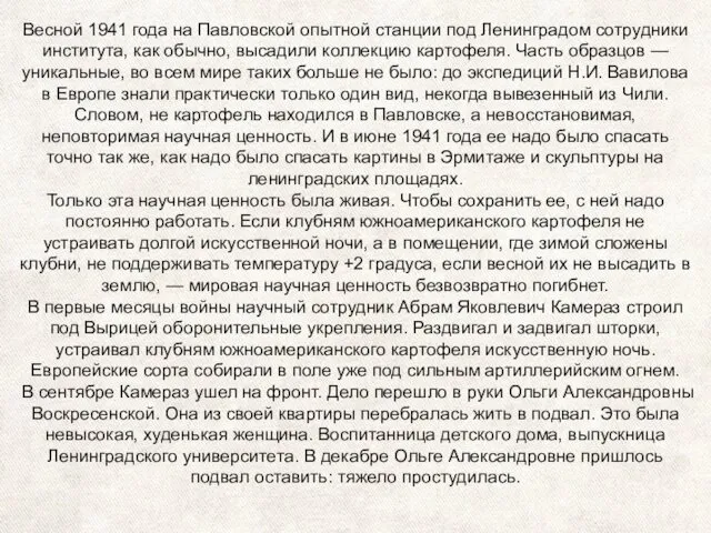 Весной 1941 года на Павловской опытной станции под Ленинградом сотрудники