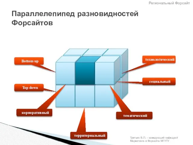 Параллелепипед разновидностей Форсайтов корпоративный Top down Bottom up социальный технологический тематический территориальный