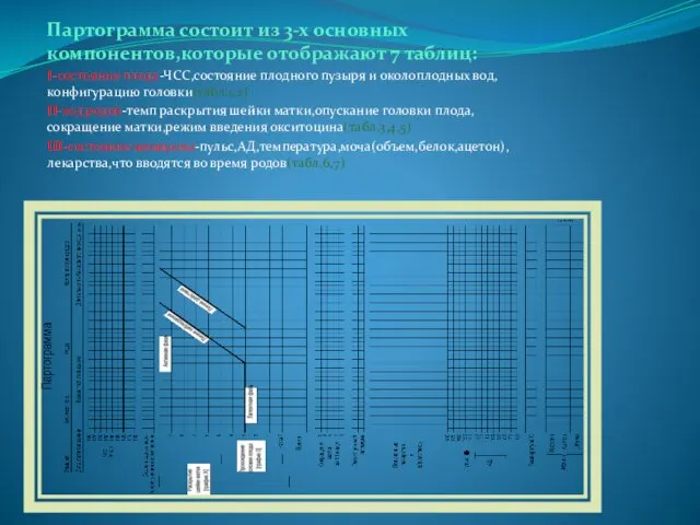 Партограмма состоит из 3-х основных компонентов,которые отображают 7 таблиц: I-состояние