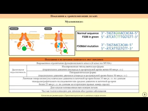 Муковисцидоз Клинические рекомендации «Трансплантация легких и комплекса сердце-легкие» Показания к трансплантации легких