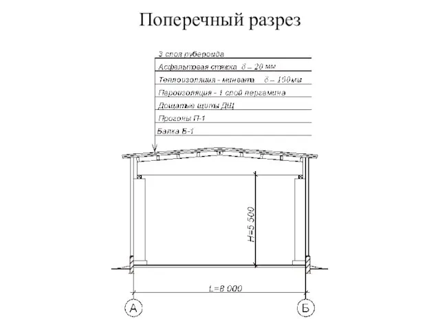 Поперечный разрез