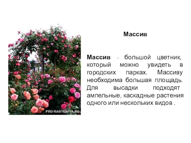 Массив Массив - большой цветник, который можно увидеть в городских