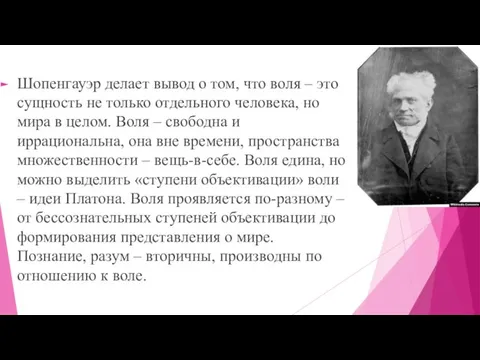 Шопенгауэр делает вывод о том, что воля – это сущность