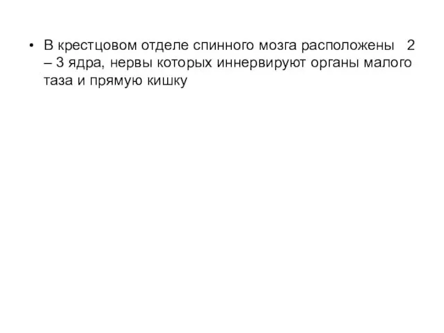 В крестцовом отделе спинного мозга расположены 2 – 3 ядра,